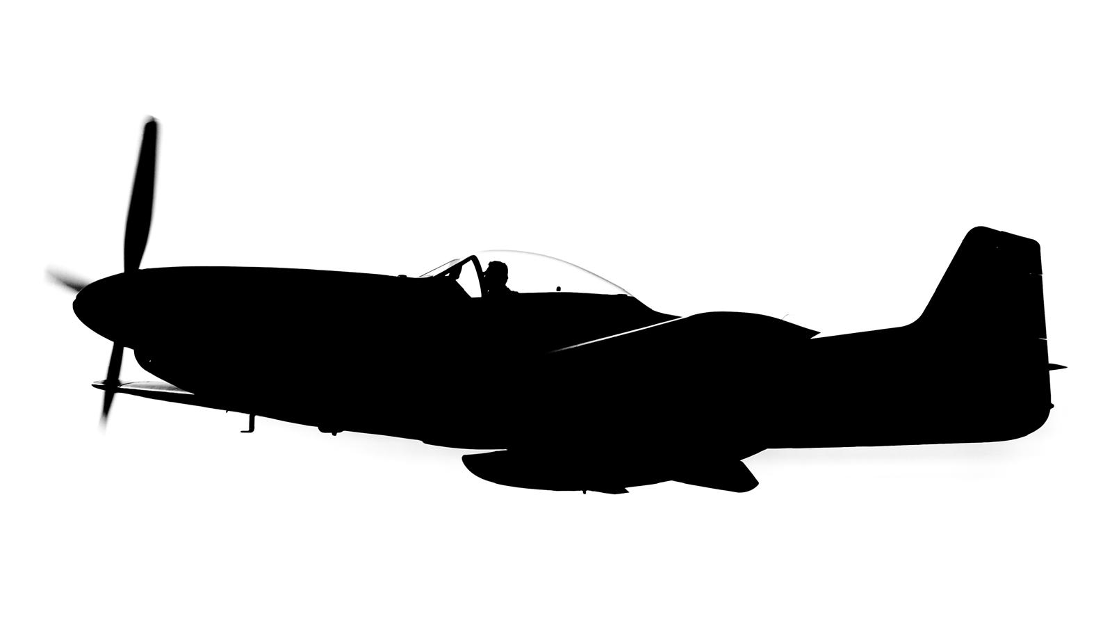 N151W North American P-51 D Mustang © P. Marianič